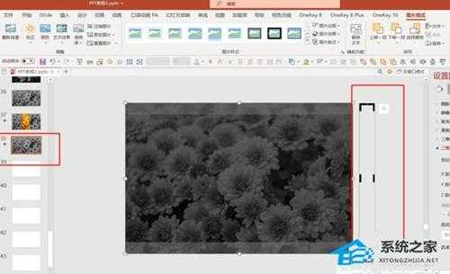 PPT如何制作X光扫描动画效果？PPT制作X光扫描动画效果的方法