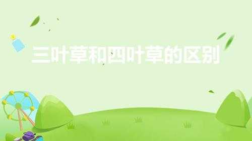 三叶草和四叶草的区别(两者的区别和意义)