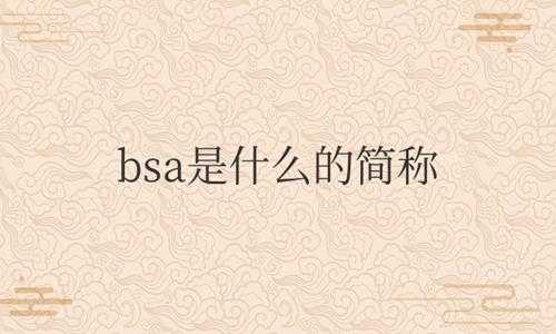 汽车仪表上bsa是什么意思