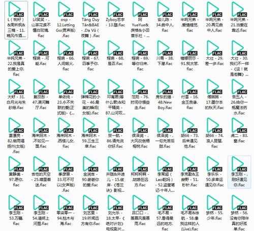 《2024百度歌曲排行抖音榜TOP100》[FLAC][2.3GB]