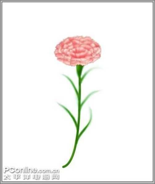 母亲节祝福:PS制作祝福母亲健康的康乃馨