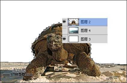 photoshop合成制作海龟岛&shy;自然场景