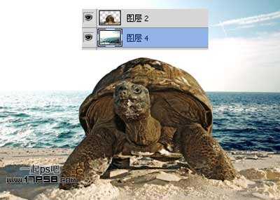 photoshop合成制作海龟岛&shy;自然场景