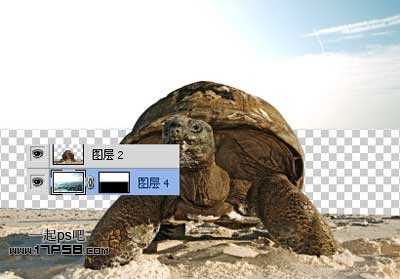 photoshop合成制作海龟岛&shy;自然场景