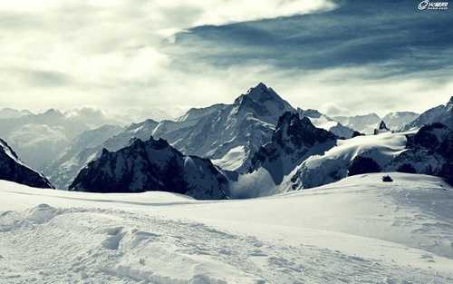 PS手绘教程:PS结合SAI鼠绘逼真的魔戒精灵王子图