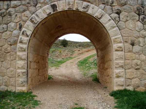 PS合成黑暗中小孩走入奇幻森林场景