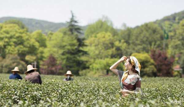 ps如何制作油画效果?PS模拟重色调油画风格人像照片教程